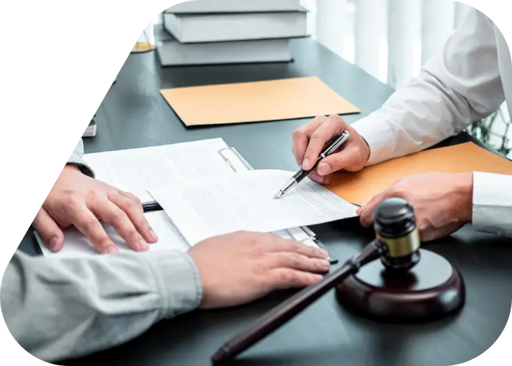 Employment Law Services